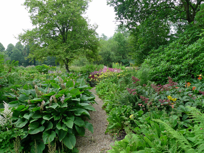 Forde-Abbey-bog-garden
